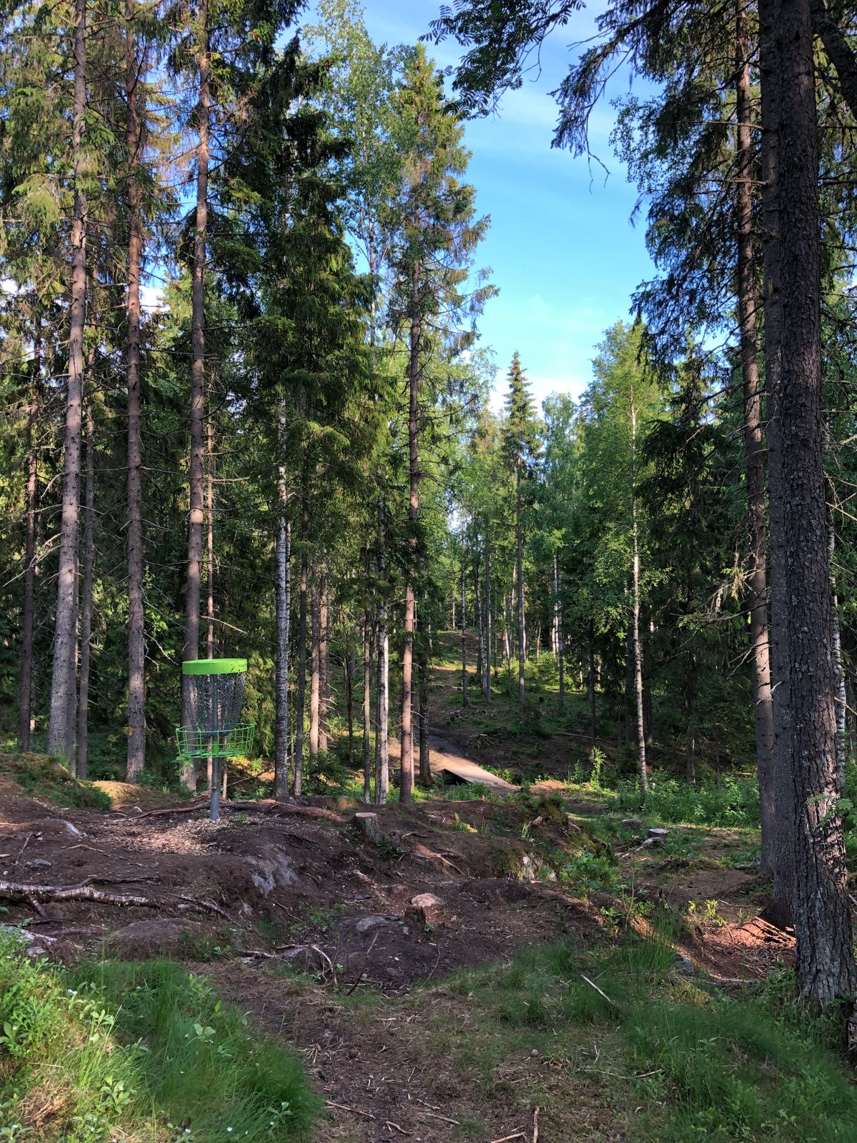 Disc golf scene 1