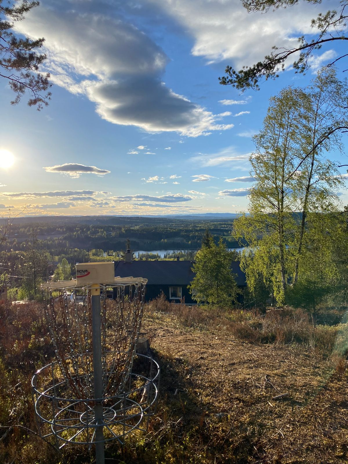 Disc golf scene 2
