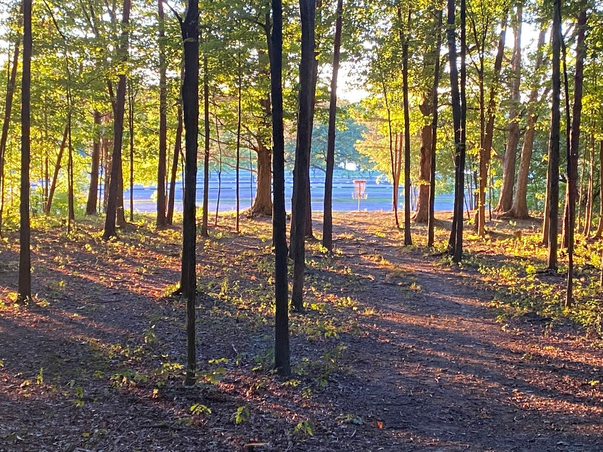Disc golf scene 3